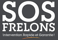 SOS FRELONS La basse Musse La Plaine sur Mer - 44210 Pornic