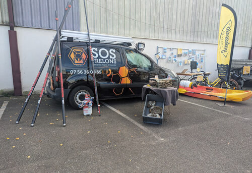 SOS Frelon Pornic - La Plaine sur mer - nid de frelons 44210