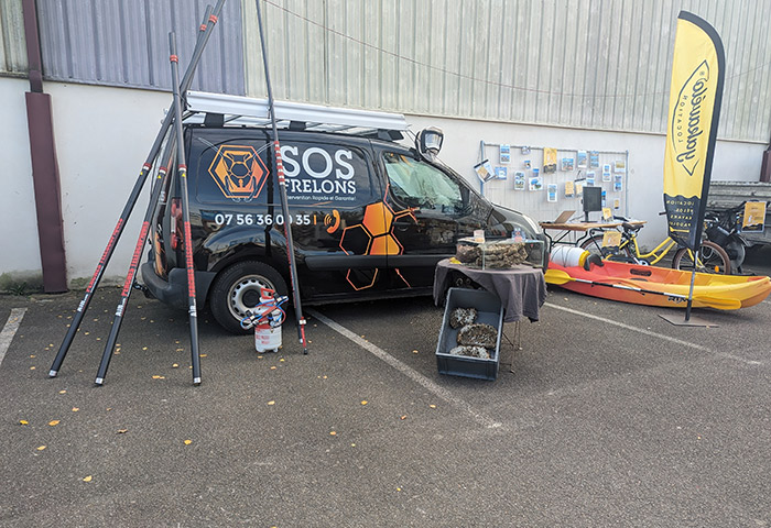 SOS Frelon Pornic - La Plaine sur mer - nid de frelons 44210