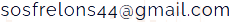 SOS FRELONS gmail.com Pornic frelons asiatiques et européens