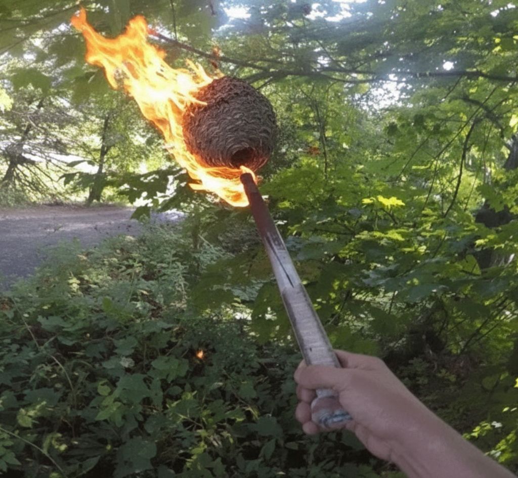Main tenant une torche enflammée dirigée vers un nid de frelons suspendu dans un arbre, illustrant une méthode dangereuse et à éviter.